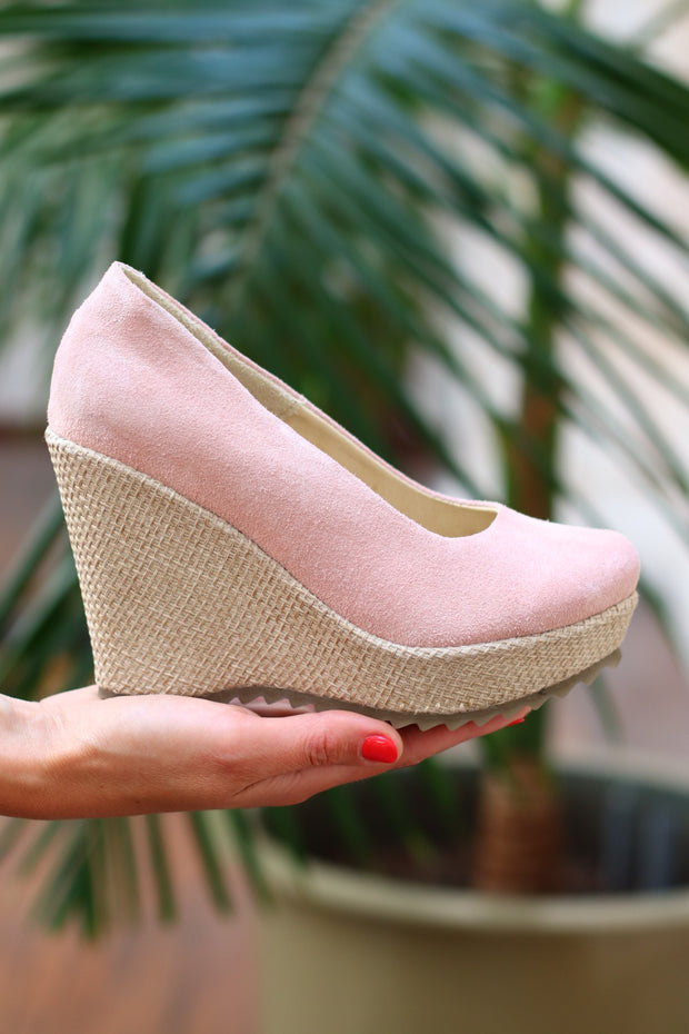 Reina Sofía Rosa (NUEVO)